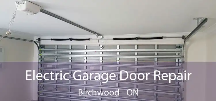 Electric Garage Door Repair Birchwood - ON