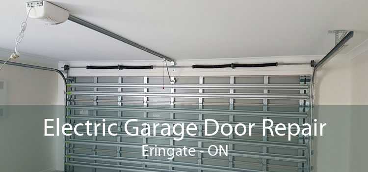 Electric Garage Door Repair Eringate - ON