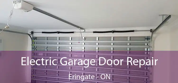 Electric Garage Door Repair Eringate - ON