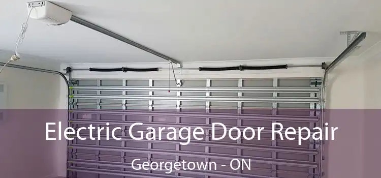 Electric Garage Door Repair Georgetown - ON