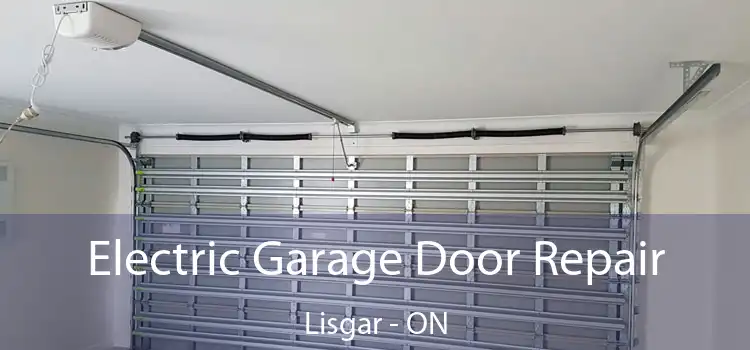  Electric Garage Door Repair Lisgar - ON