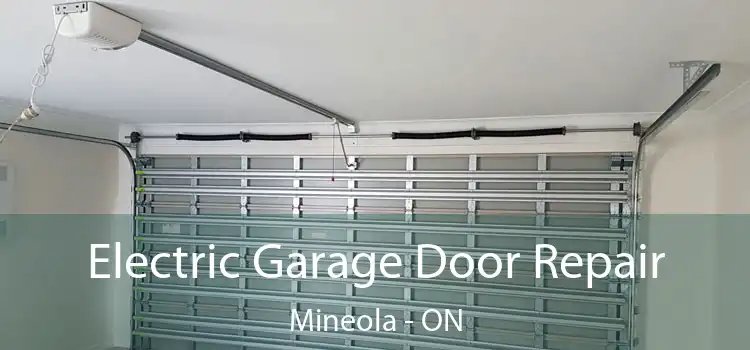  Electric Garage Door Repair Mineola - ON