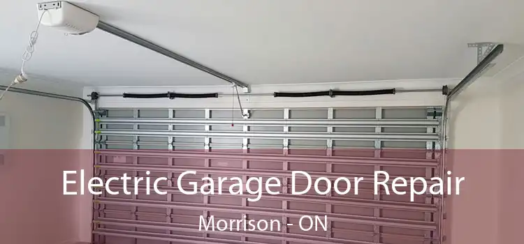Electric Garage Door Repair Morrison - ON