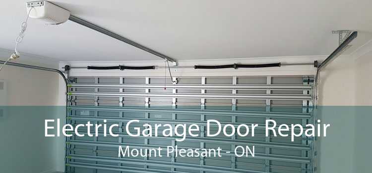 Electric Garage Door Repair Mount Pleasant - ON