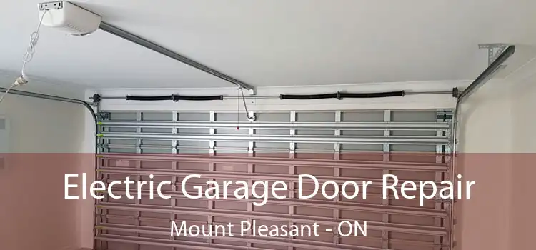  Electric Garage Door Repair Mount Pleasant - ON