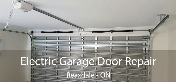  Electric Garage Door Repair Reaxdale - ON
