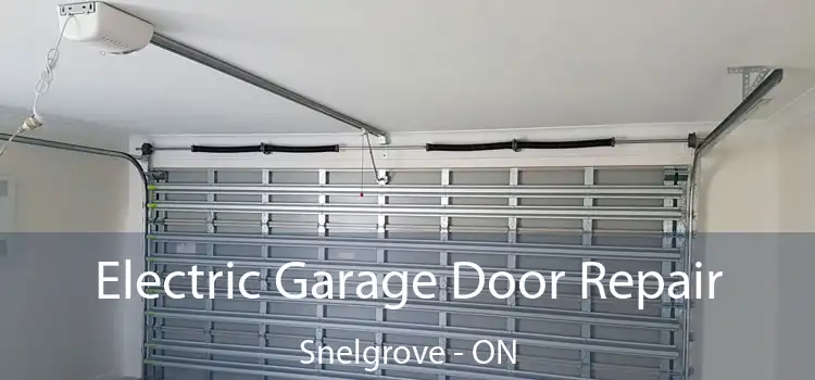 Electric Garage Door Repair Snelgrove - ON