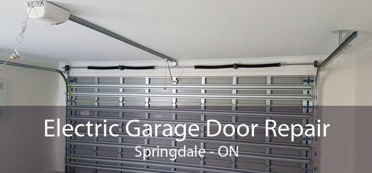 Electric Garage Door Repair Springdale - ON