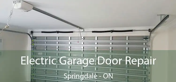 Electric Garage Door Repair Springdale - ON
