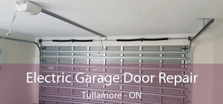  Electric Garage Door Repair Tullamore - ON