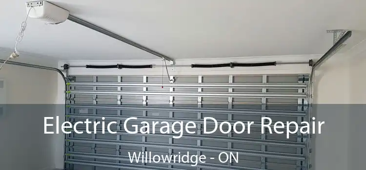 Electric Garage Door Repair Willowridge - ON