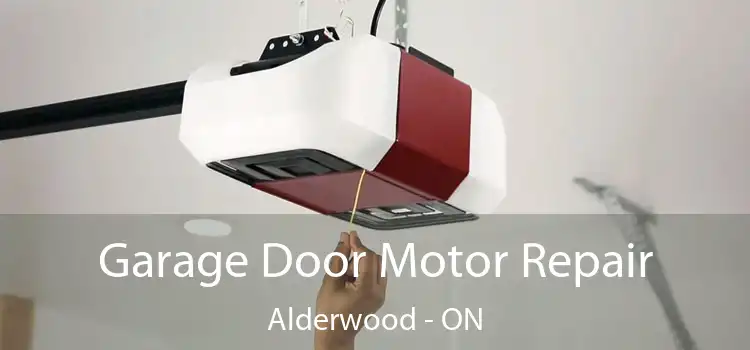 Garage Door Motor Repair Alderwood - ON