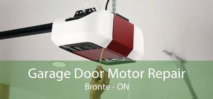 Garage Door Motor Repair Bronte - ON