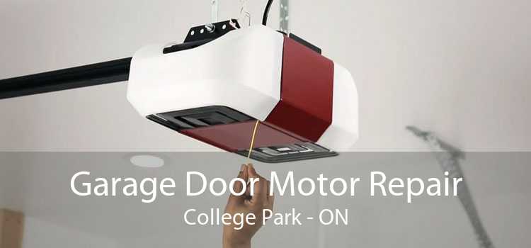 Garage Door Motor Repair College Park - ON