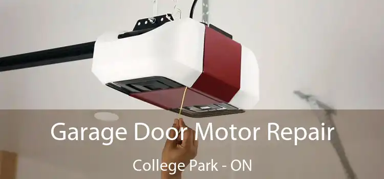  Garage Door Motor Repair College Park - ON