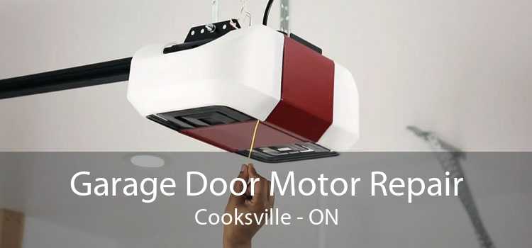 Garage Door Motor Repair Cooksville - ON