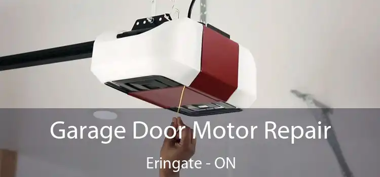 Garage Door Motor Repair Eringate - ON