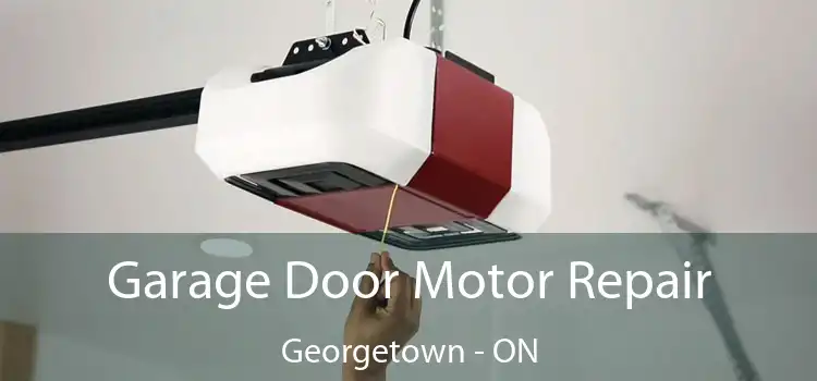 Garage Door Motor Repair Georgetown - ON