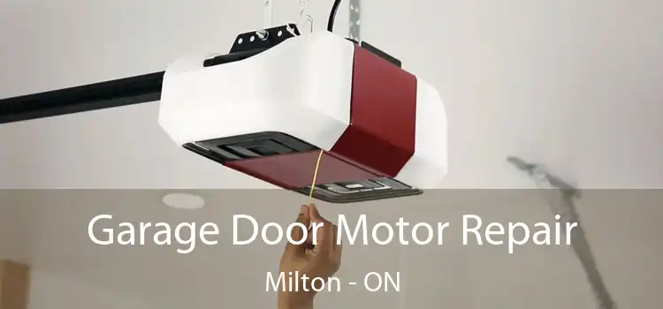  Garage Door Motor Repair Milton - ON
