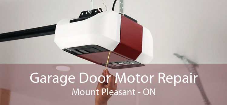 Garage Door Motor Repair Mount Pleasant - ON