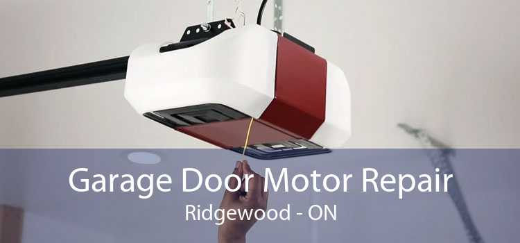 Garage Door Motor Repair Ridgewood - ON