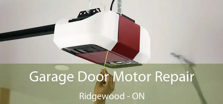 Garage Door Motor Repair Ridgewood - ON