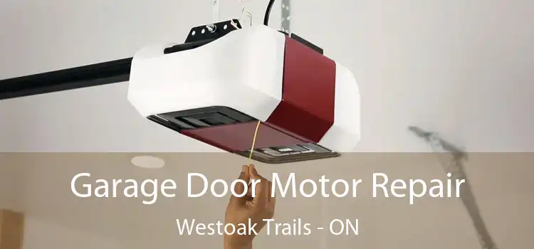 Garage Door Motor Repair Westoak Trails - ON