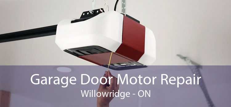 Garage Door Motor Repair Willowridge - ON