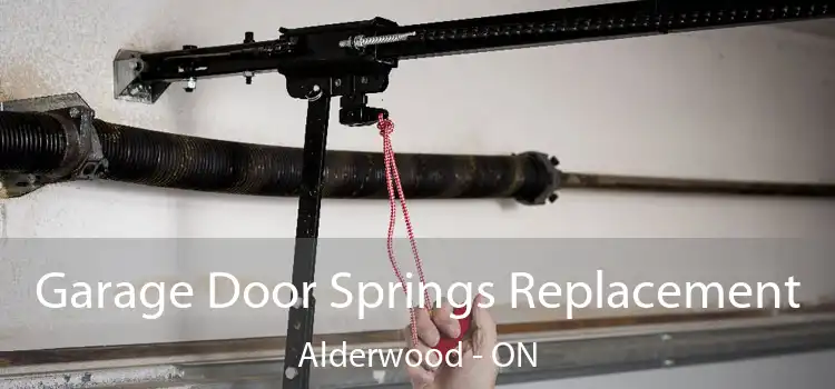  Garage Door Springs Replacement Alderwood - ON