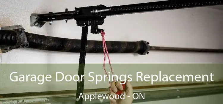 Garage Door Springs Replacement Applewood - ON