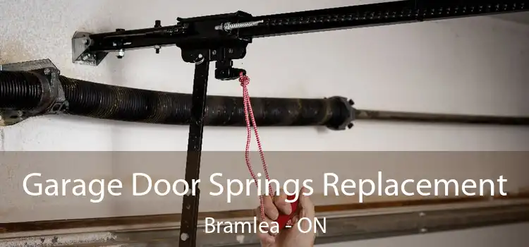 Garage Door Springs Replacement Bramlea - ON