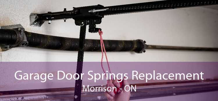 Garage Door Springs Replacement Morrison - ON