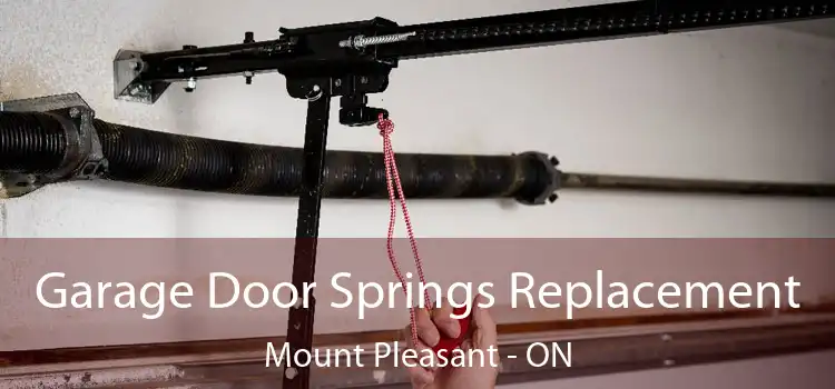Garage Door Springs Replacement Mount Pleasant - ON