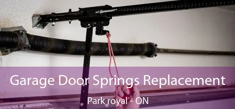 Garage Door Springs Replacement Park royal - ON