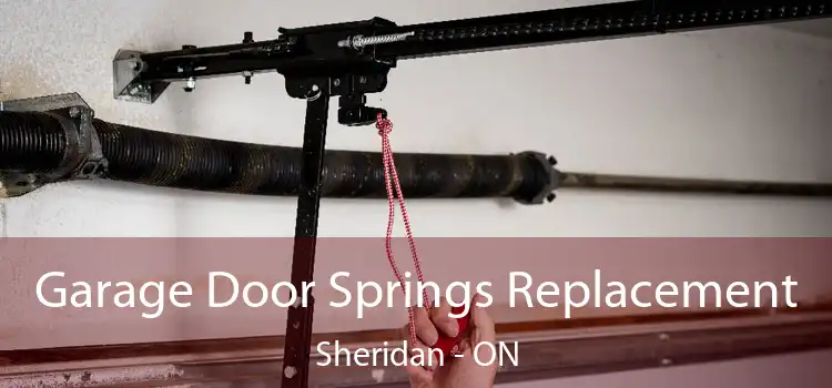Garage Door Springs Replacement Sheridan - ON