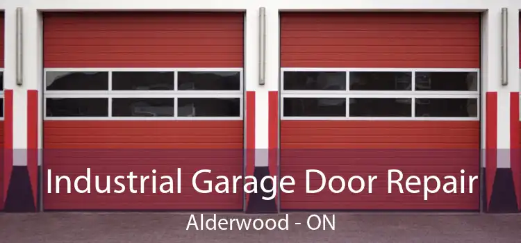 Industrial Garage Door Repair Alderwood - ON