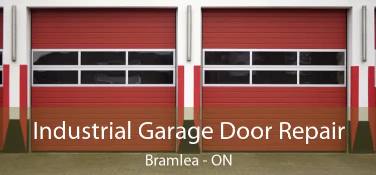 Industrial Garage Door Repair Bramlea - ON