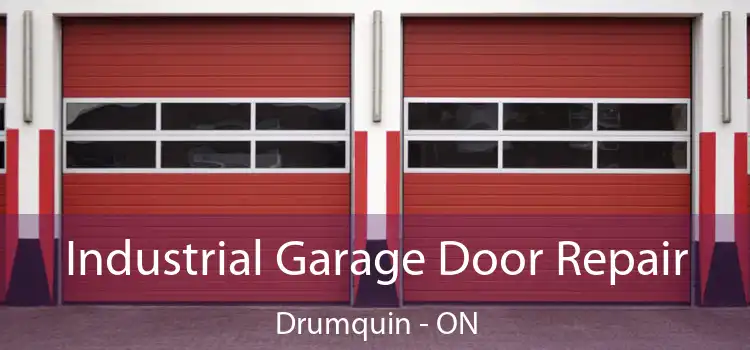 Industrial Garage Door Repair Drumquin - ON