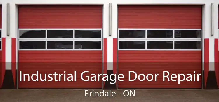 Industrial Garage Door Repair Erindale - ON