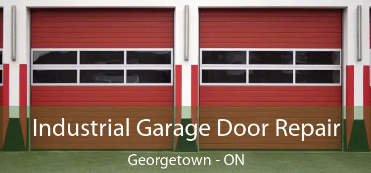 Industrial Garage Door Repair Georgetown - ON