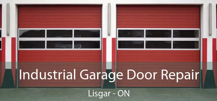 Industrial Garage Door Repair Lisgar - ON