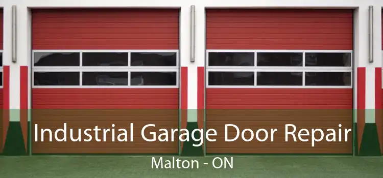 Industrial Garage Door Repair Malton - ON