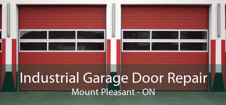 Industrial Garage Door Repair Mount Pleasant - ON