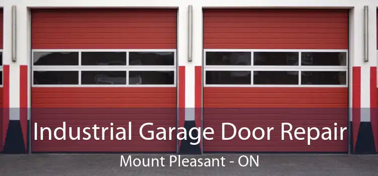 Industrial Garage Door Repair Mount Pleasant - ON
