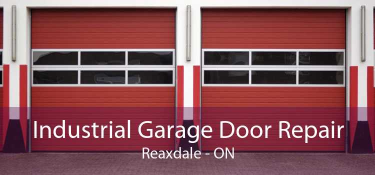 Industrial Garage Door Repair Reaxdale - ON