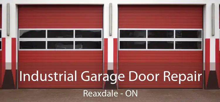 Industrial Garage Door Repair Reaxdale - ON