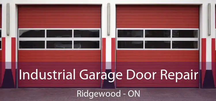 Industrial Garage Door Repair Ridgewood - ON