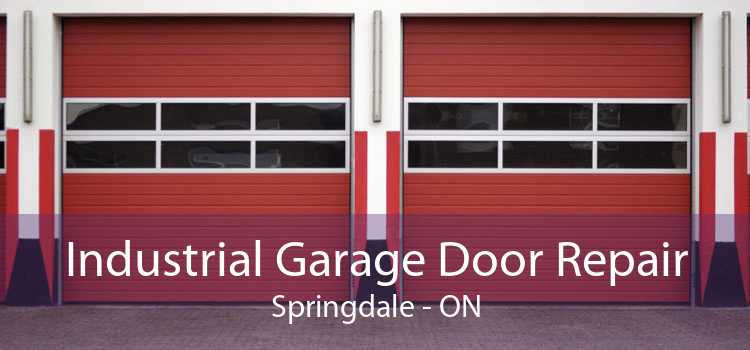 Industrial Garage Door Repair Springdale - ON