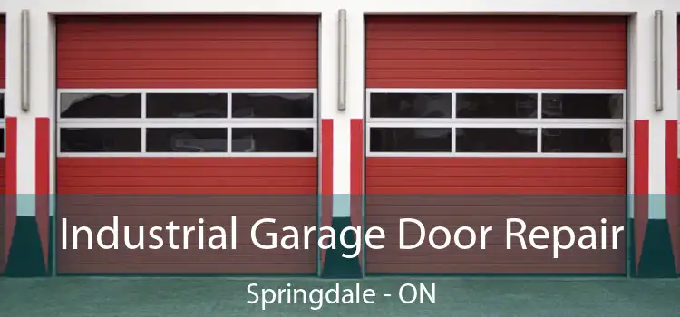 Industrial Garage Door Repair Springdale - ON