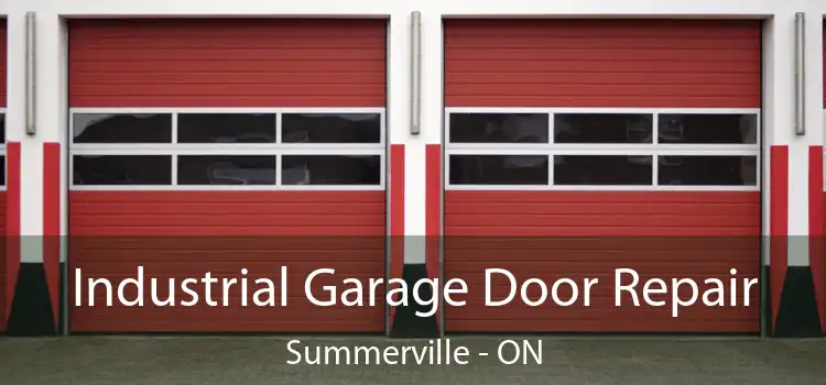 Industrial Garage Door Repair Summerville - ON